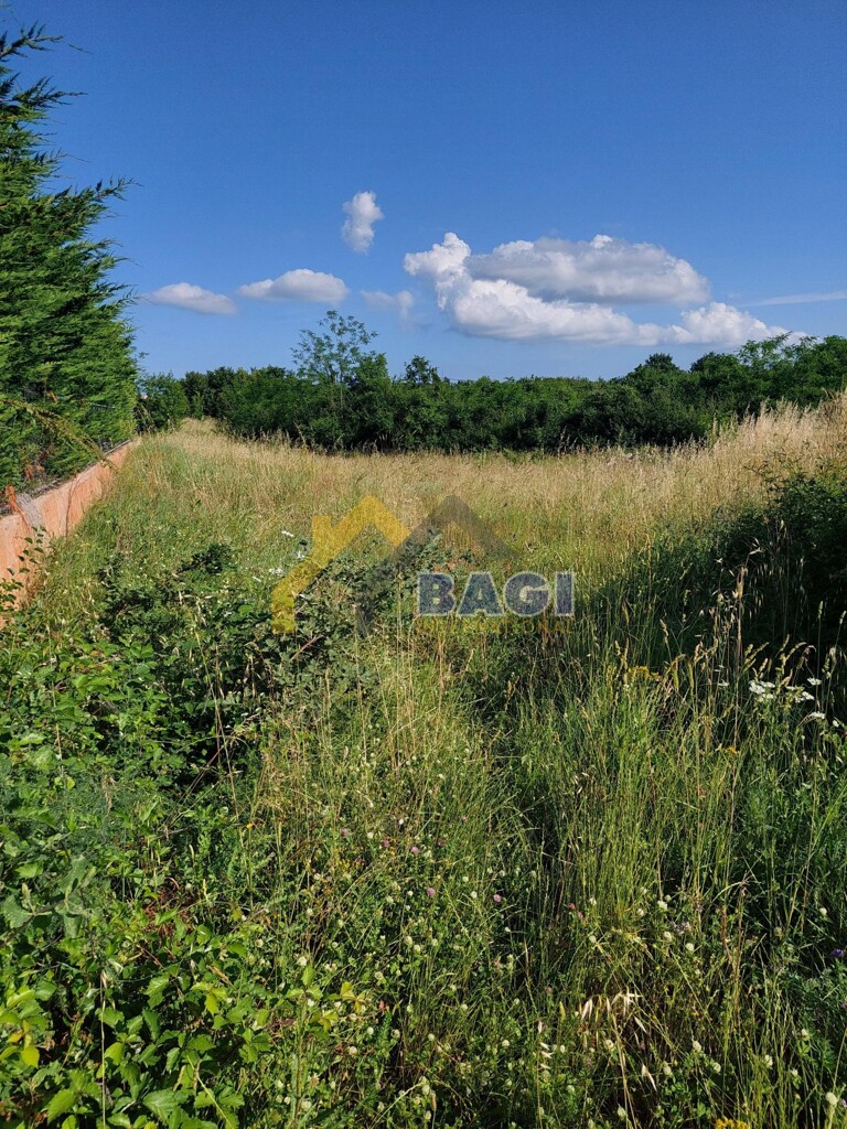 Image 5900174 - 6