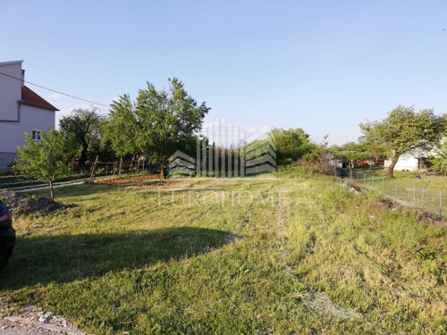 Thumbnail 5900176 - 3