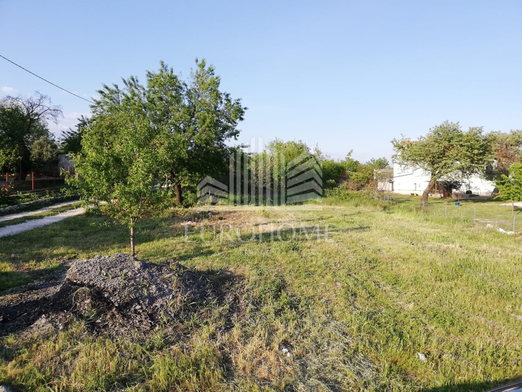 Image 5900176 - 2