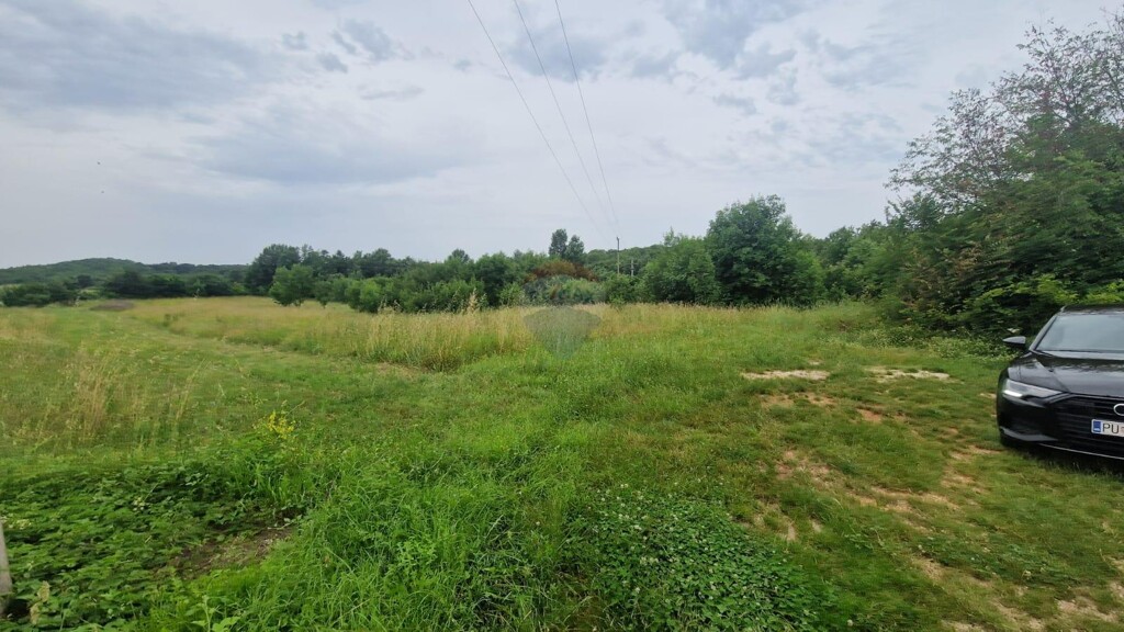 Image 5901110 - 2