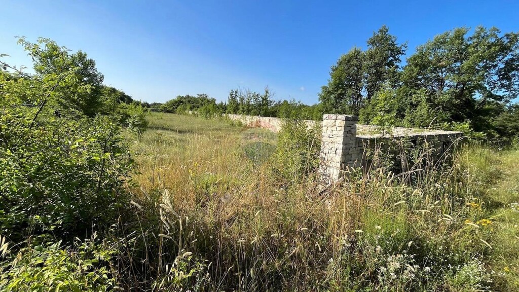 Image 5901111 - 3