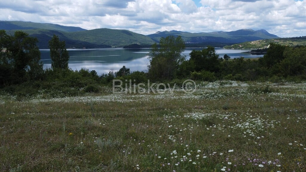 Image 5902070 - 4