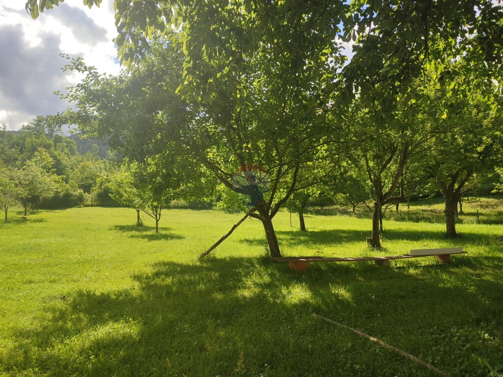 Image 5902225 - 14