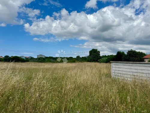 Thumbnail 5902973 - 3