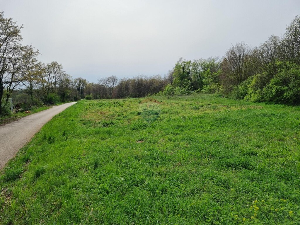 Image 5903270 - 3