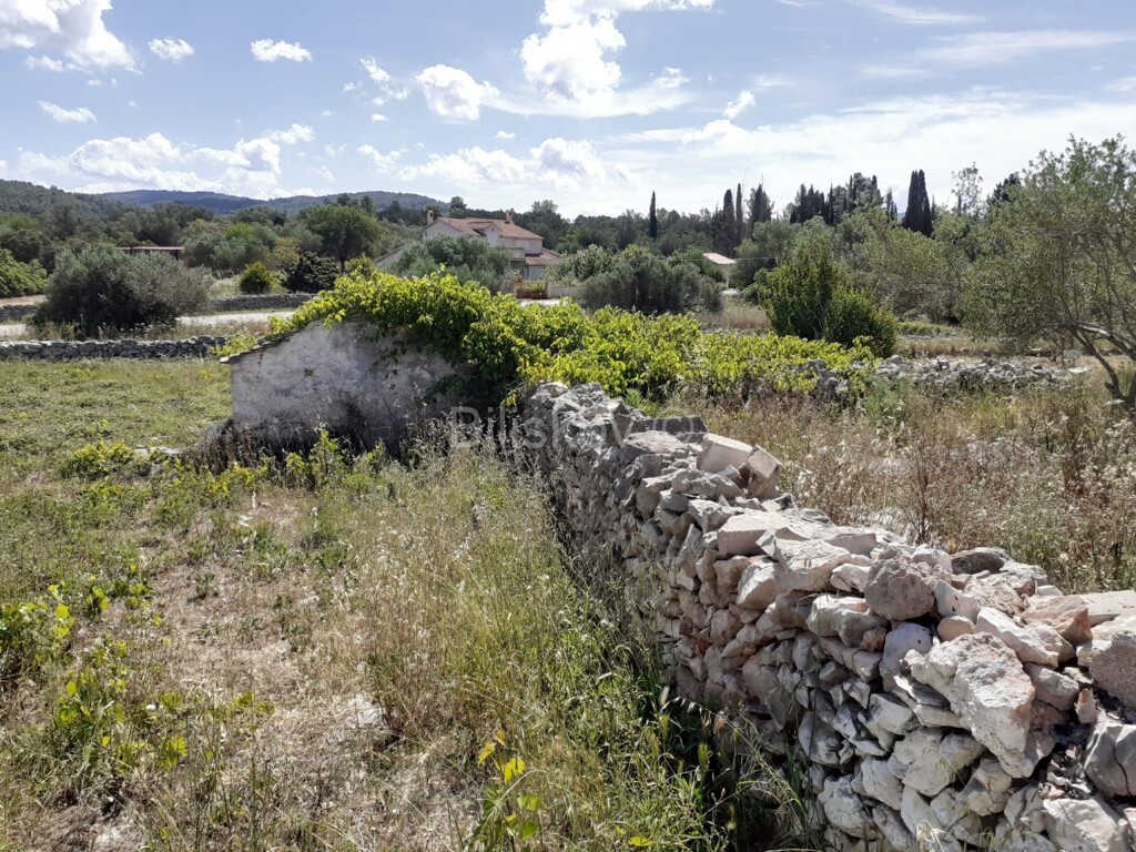 Image 5905683 - 3