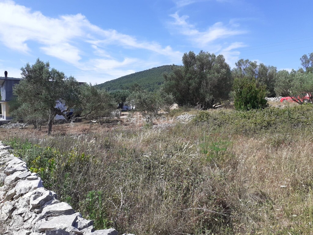 Image 5905683 - 2