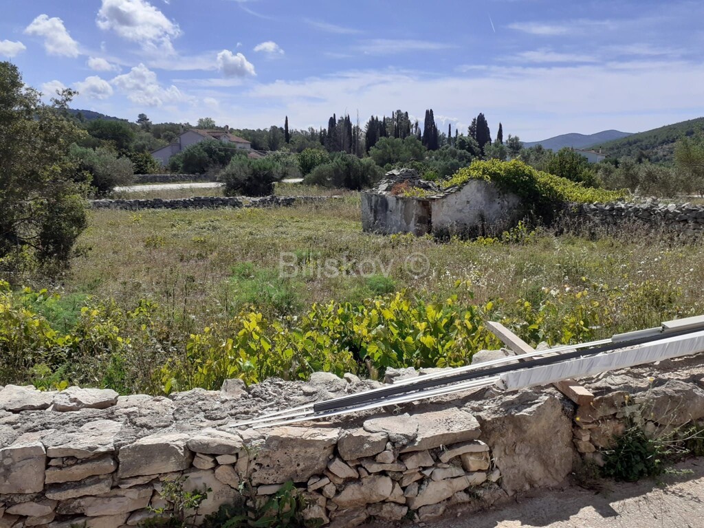 Image 5905683 - 1