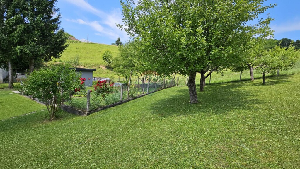 Image 5905998 - 6