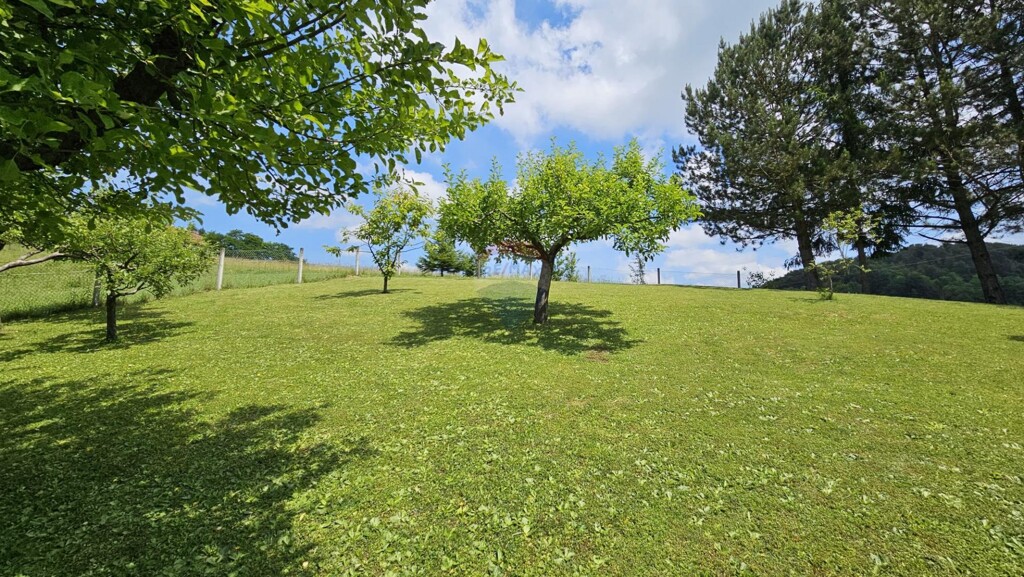 Image 5905998 - 8