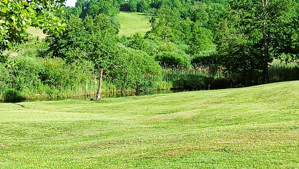 Image 5906002 - 12