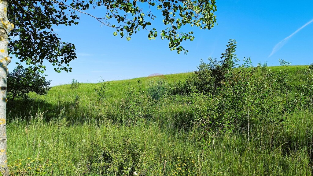 Image 5906002 - 3