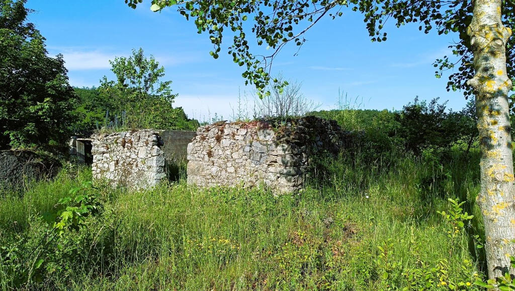 Image 5906002 - 2