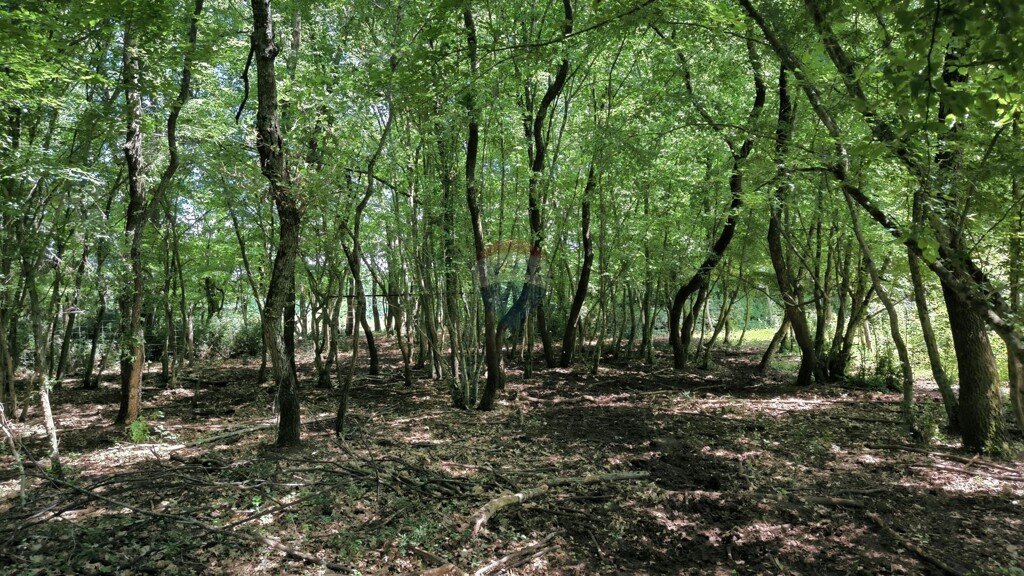 Image 5906005 - 4