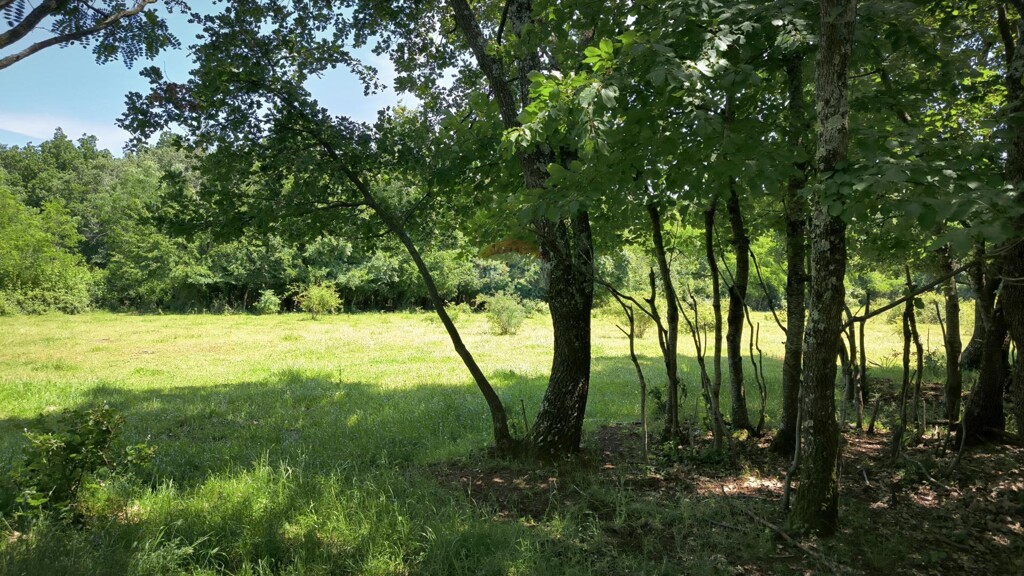 Image 5906005 - 1