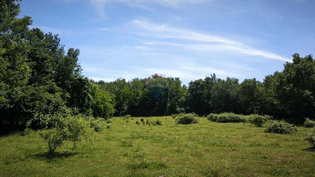 Image 5906005 - 5