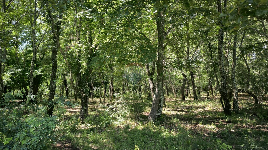 Image 5906005 - 3