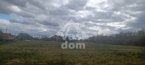Thumbnail 5906292 - 4