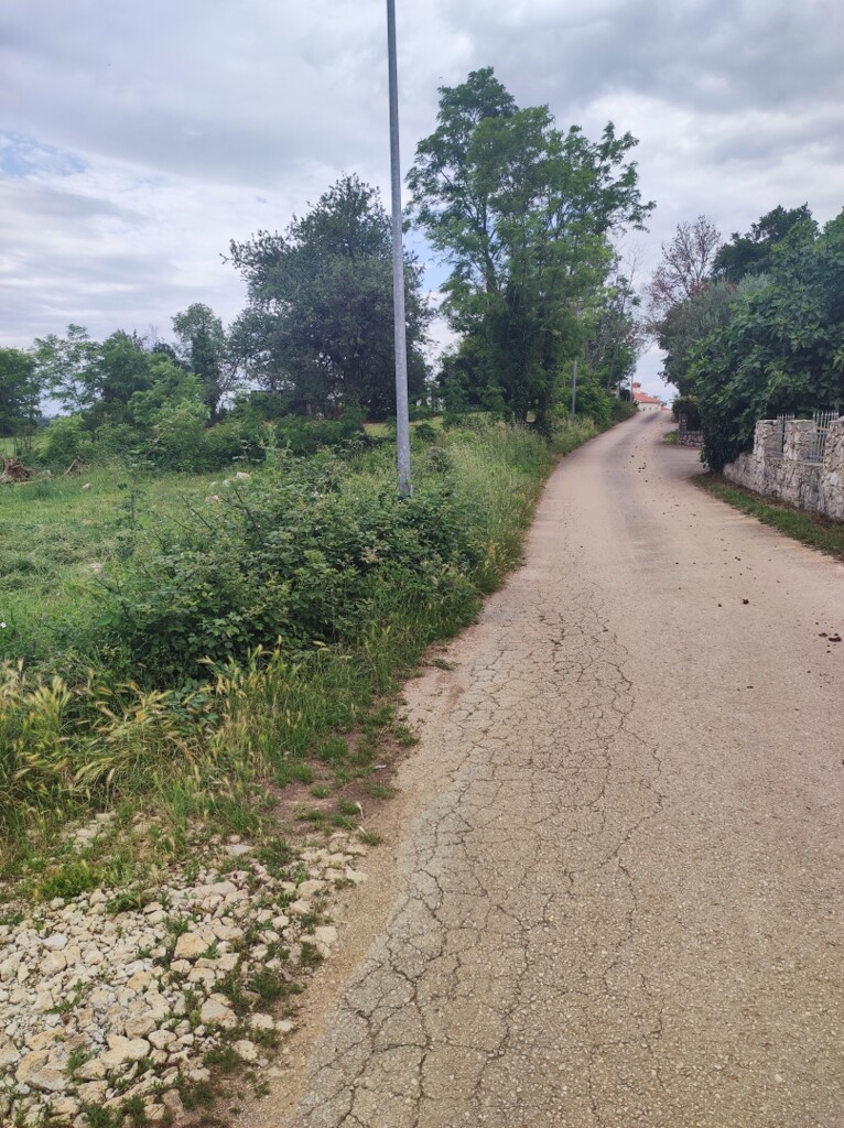 Image 5906315 - 2
