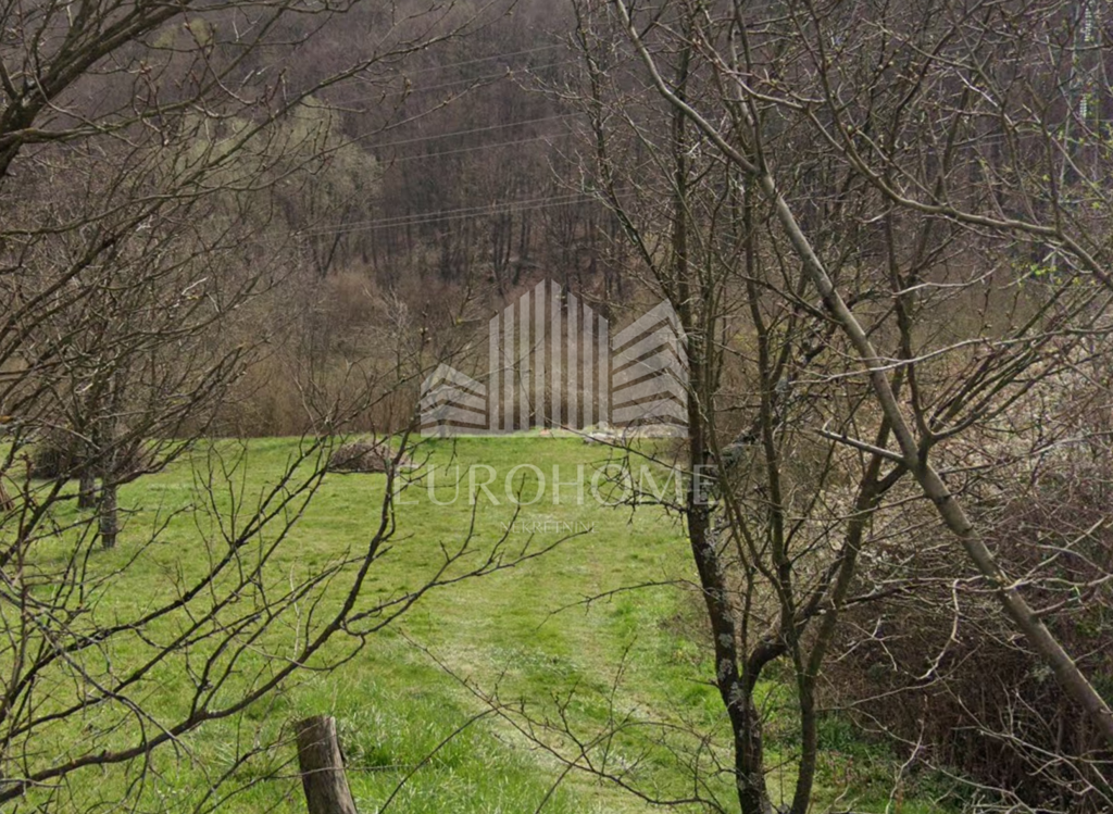 Image 5907259 - 1
