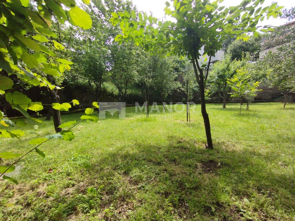 Image 5909381 - 20