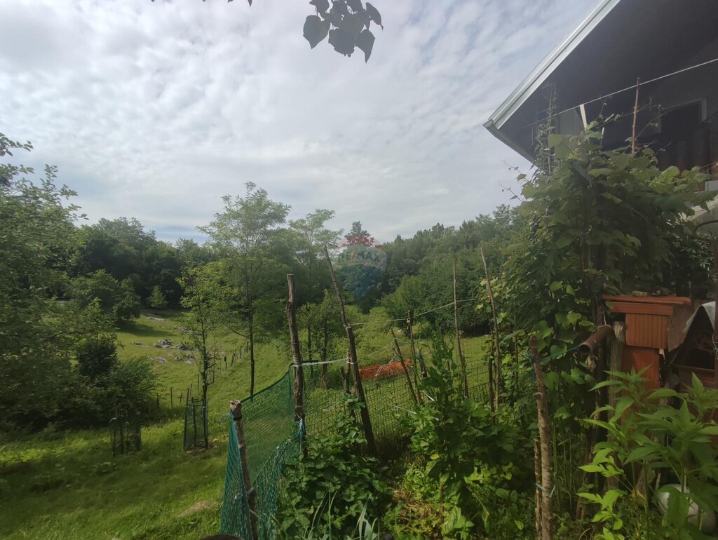 Image 5909388 - 10
