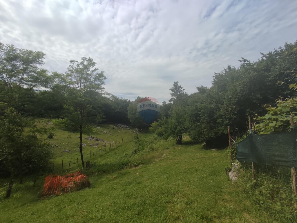 Image 5909388 - 12