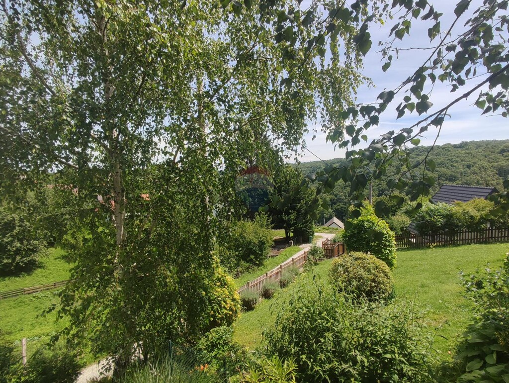 Image 5909389 - 23