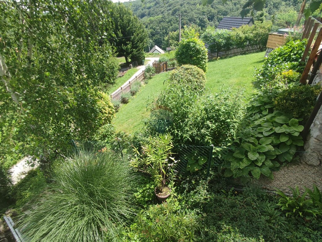 Image 5909389 - 21