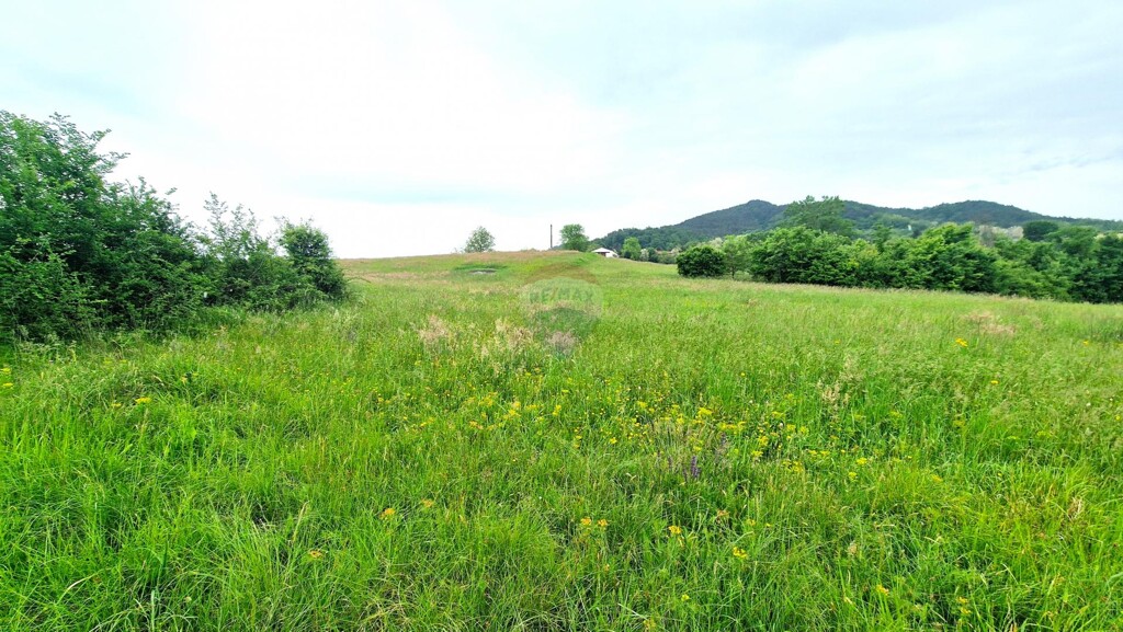 Image 5909391 - 3