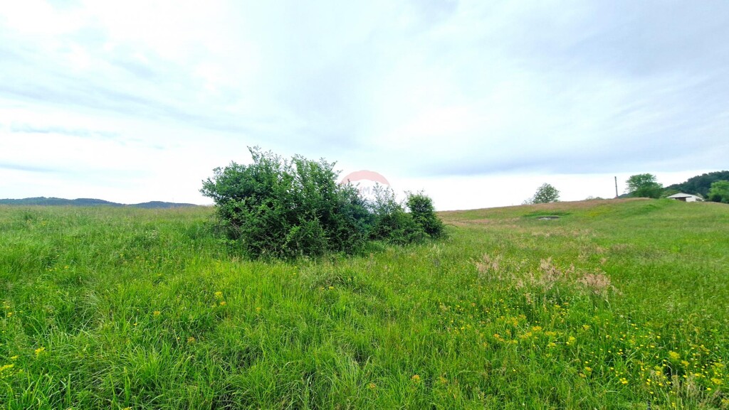 Image 5909391 - 7