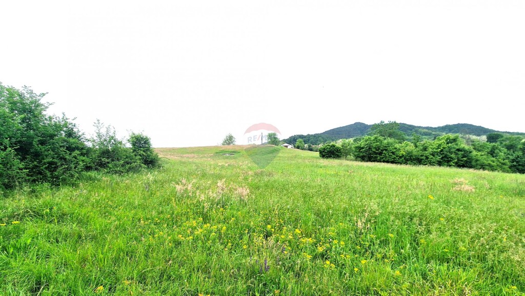 Image 5909391 - 5