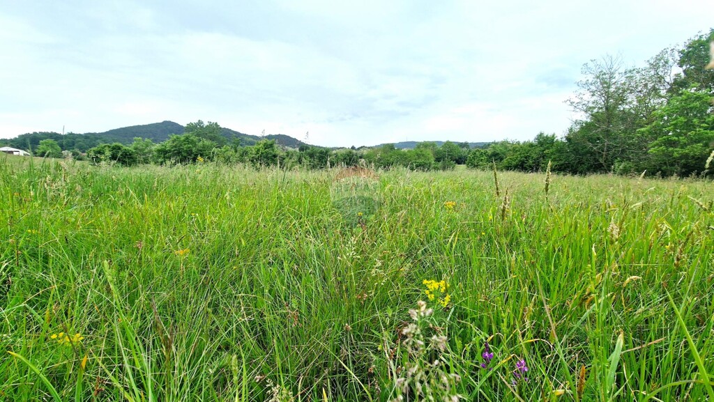 Image 5909391 - 2