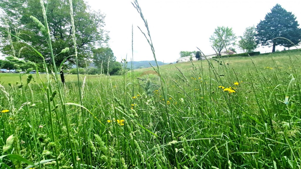 Image 5909391 - 6