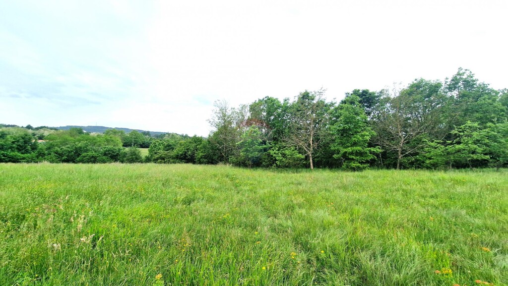 Image 5909391 - 4