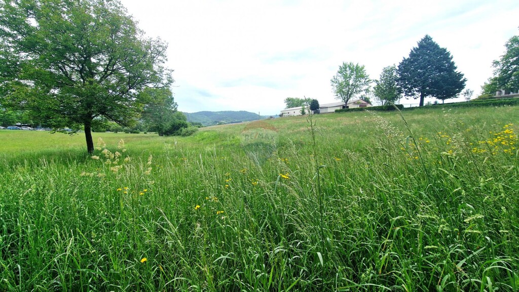 Image 5909391 - 10