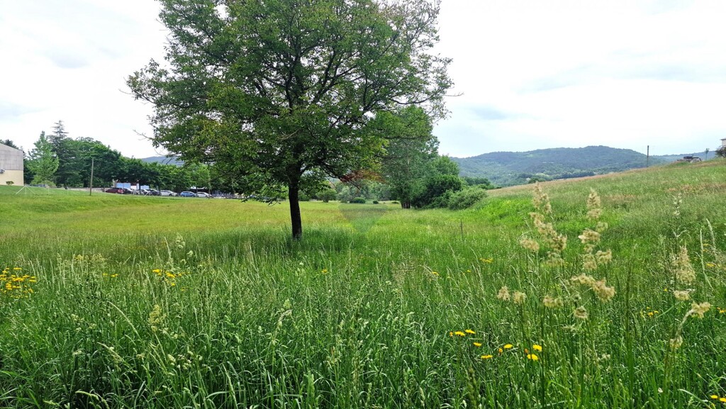 Image 5909391 - 8