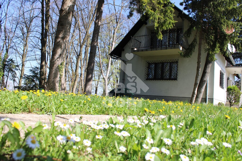 Image 5909644 - 17