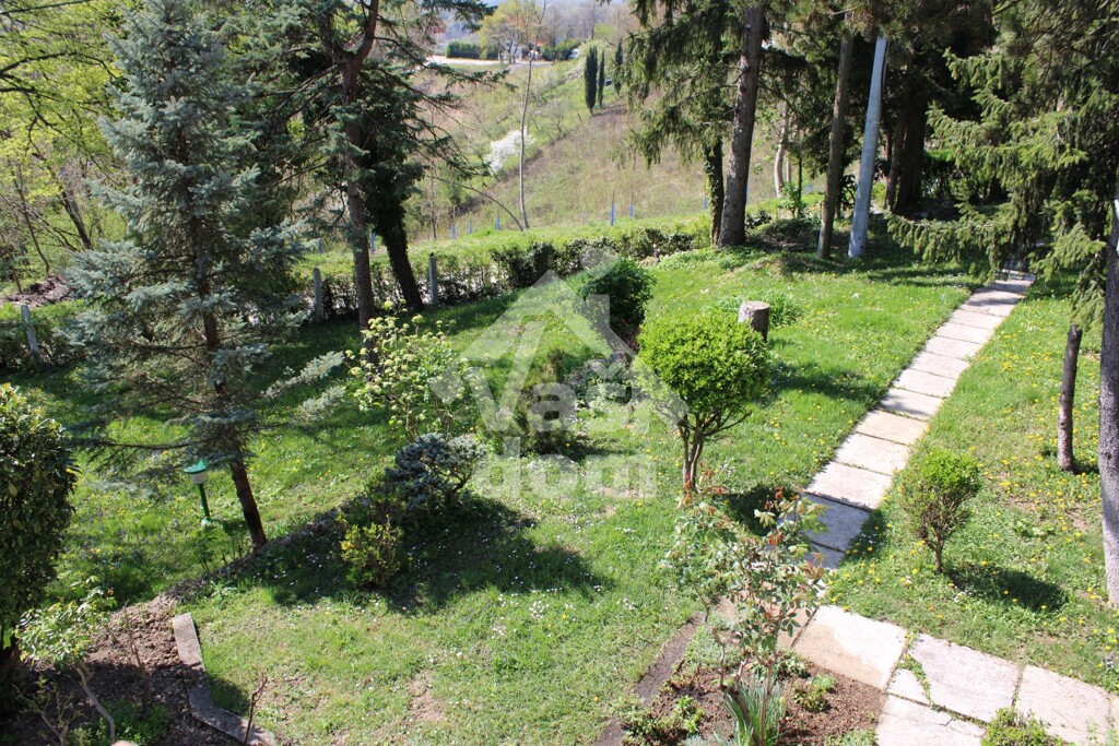 Image 5909644 - 16