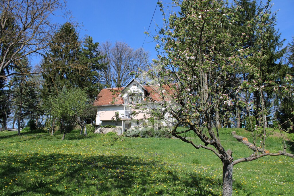 Image 5909644 - 18
