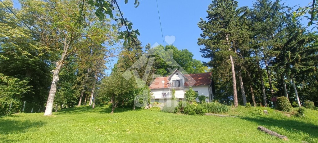 Image 5909644 - 1