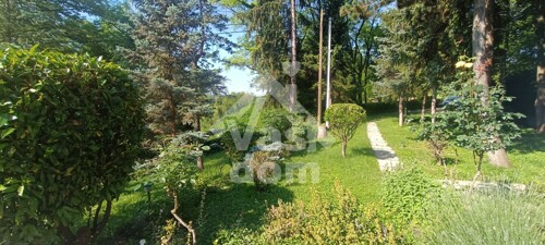 Thumbnail 5909644 - 5