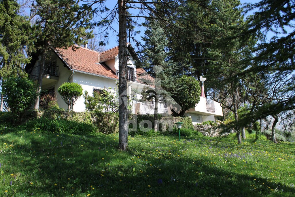 Image 5909644 - 19