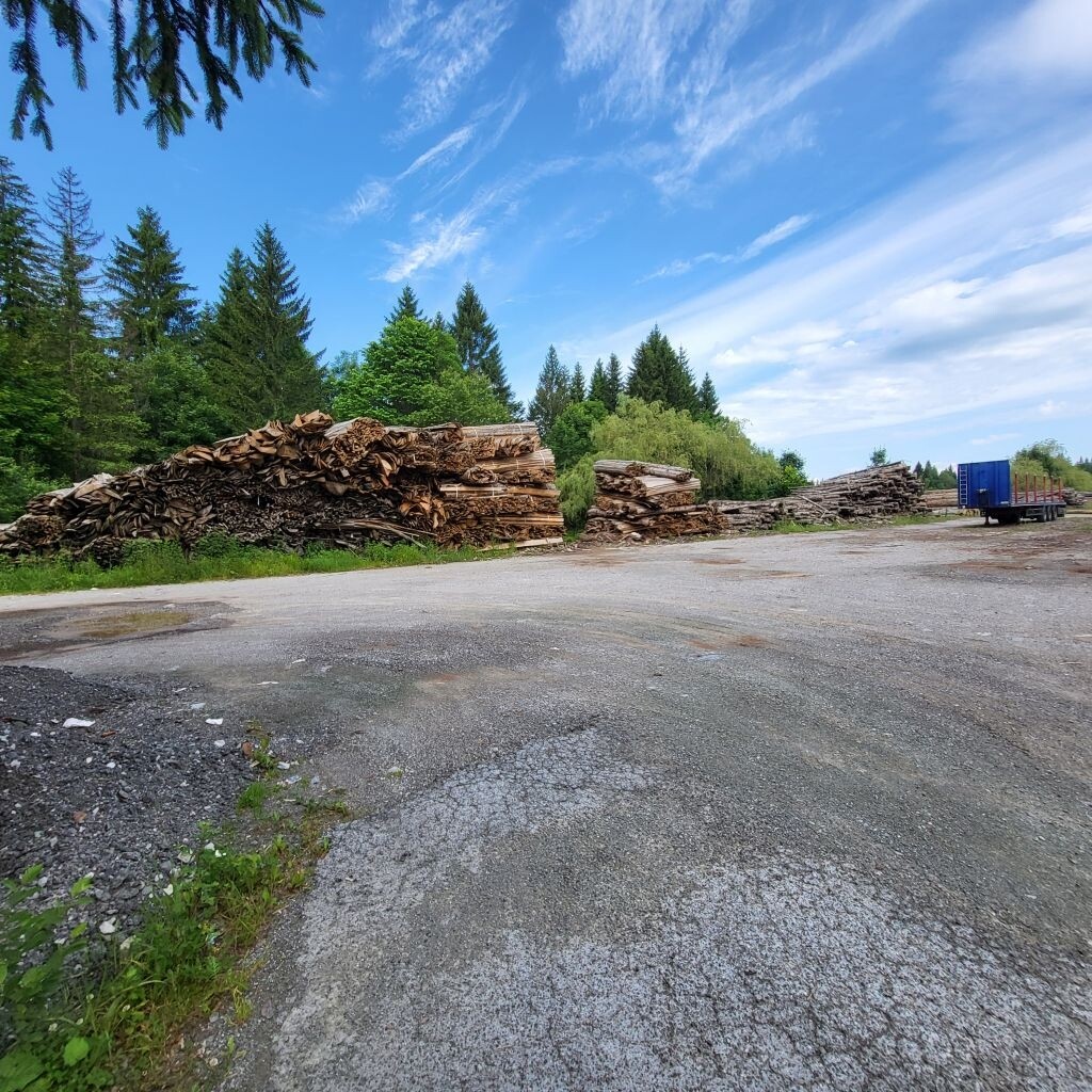 Image 5909813 - 3