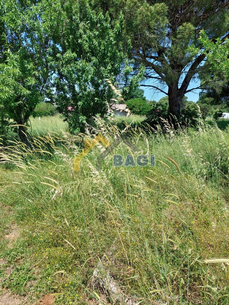 Image 5909818 - 6