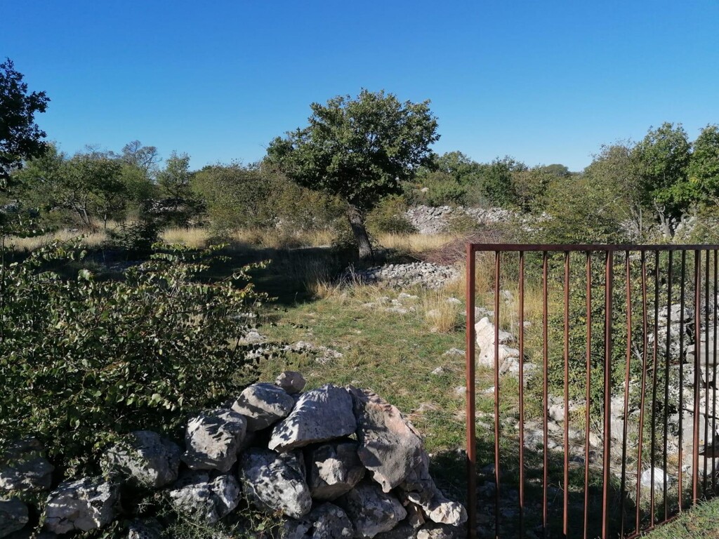 Image 5910797 - 2