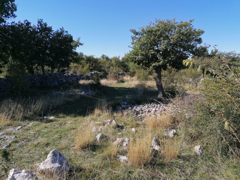 Image 5910797 - 3