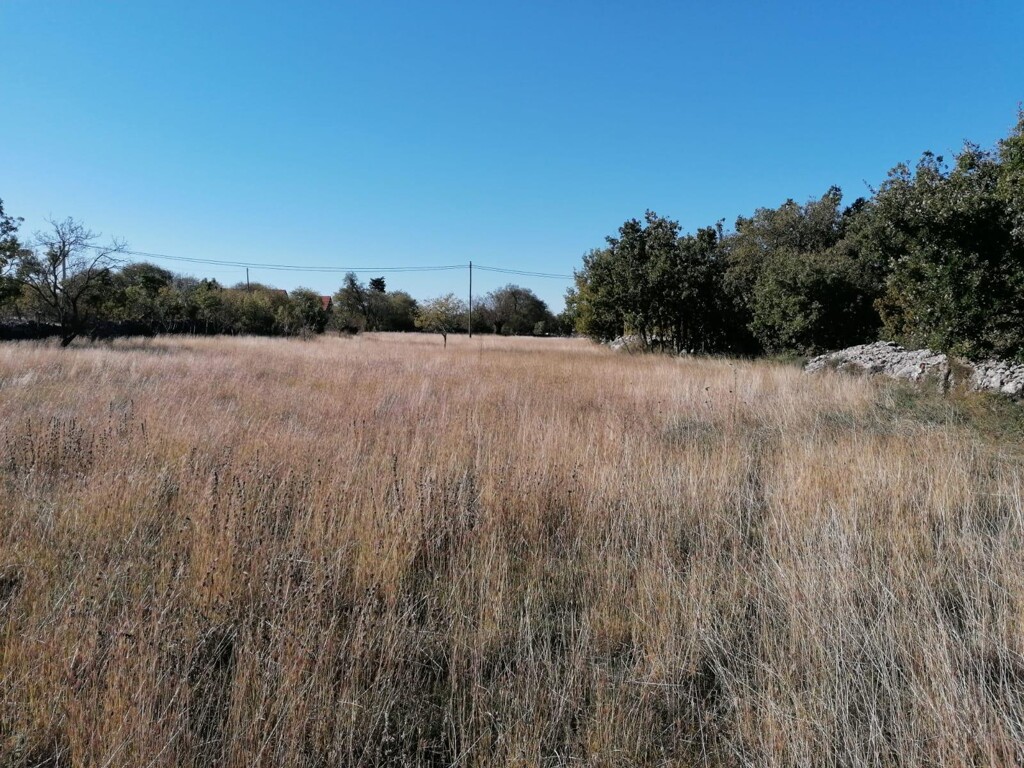 Image 5910797 - 4