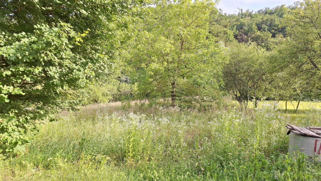 Image 5910798 - 1