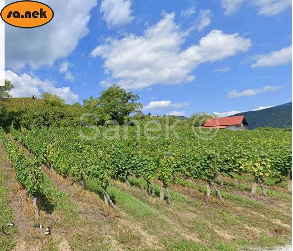 Image 5911663 - 1